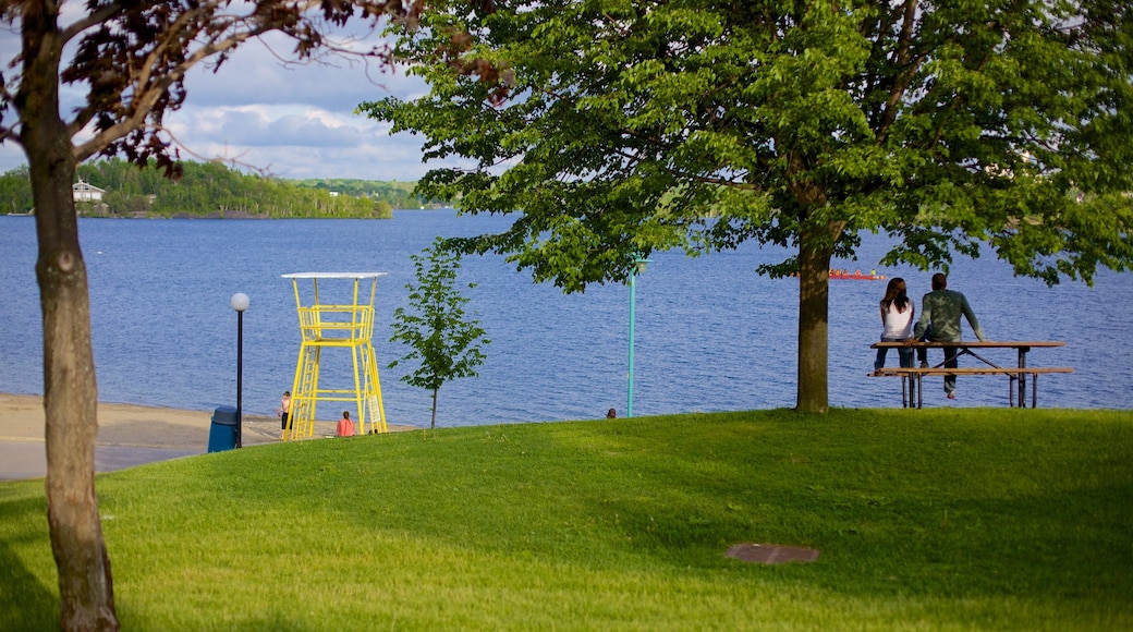 Sudbury que inclui um parque e um lago ou charco