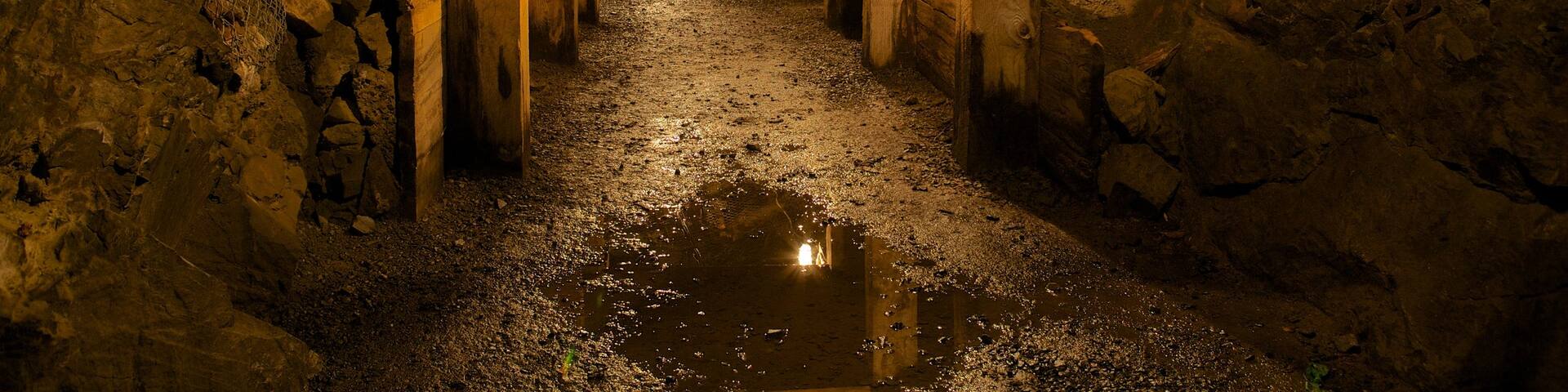 Dynamic Earth showing interior views