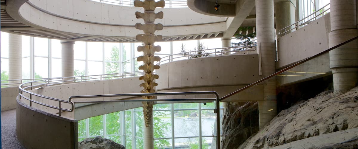 Science North showing interior views