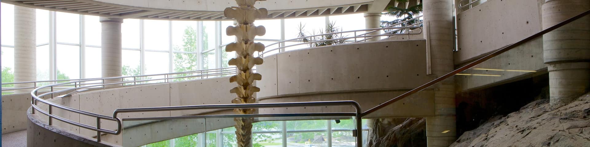 Science North showing interior views