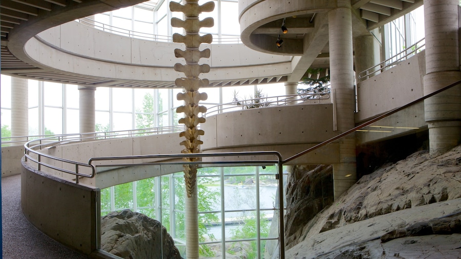 Science North mostrando vista interna
