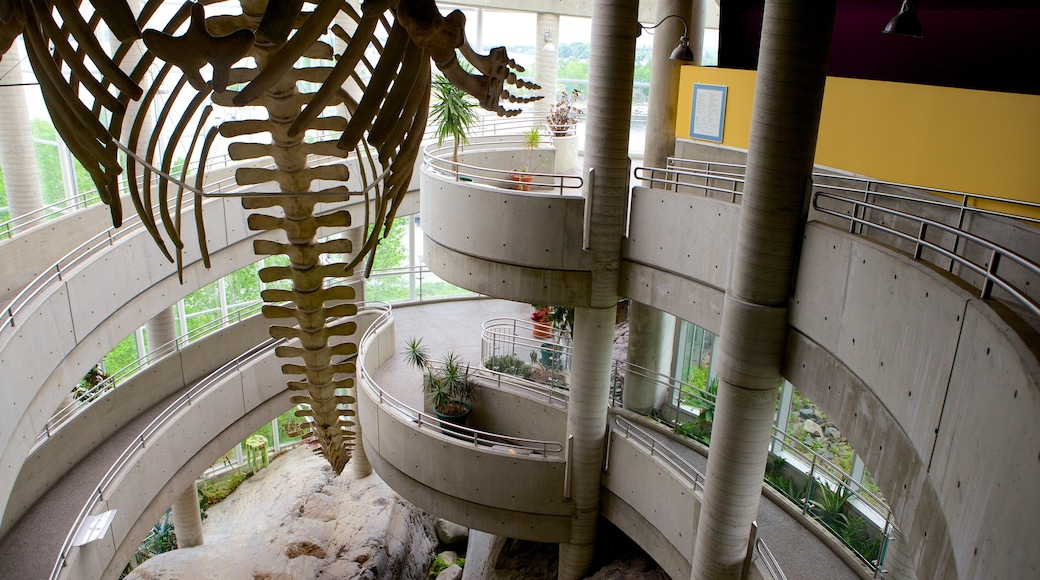Trung tâm Science North cho thấy cảnh nội thất