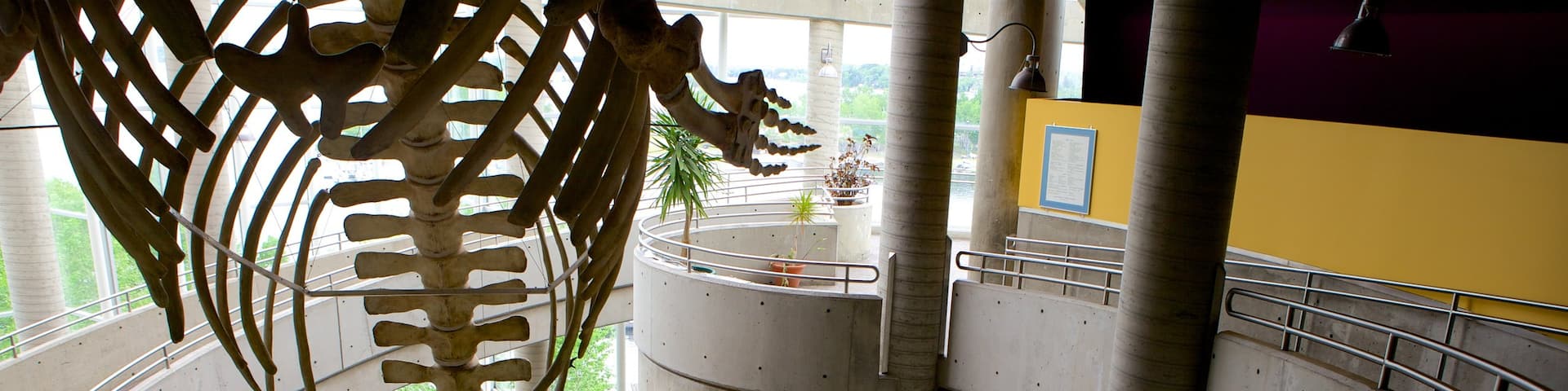 Science North showing interior views