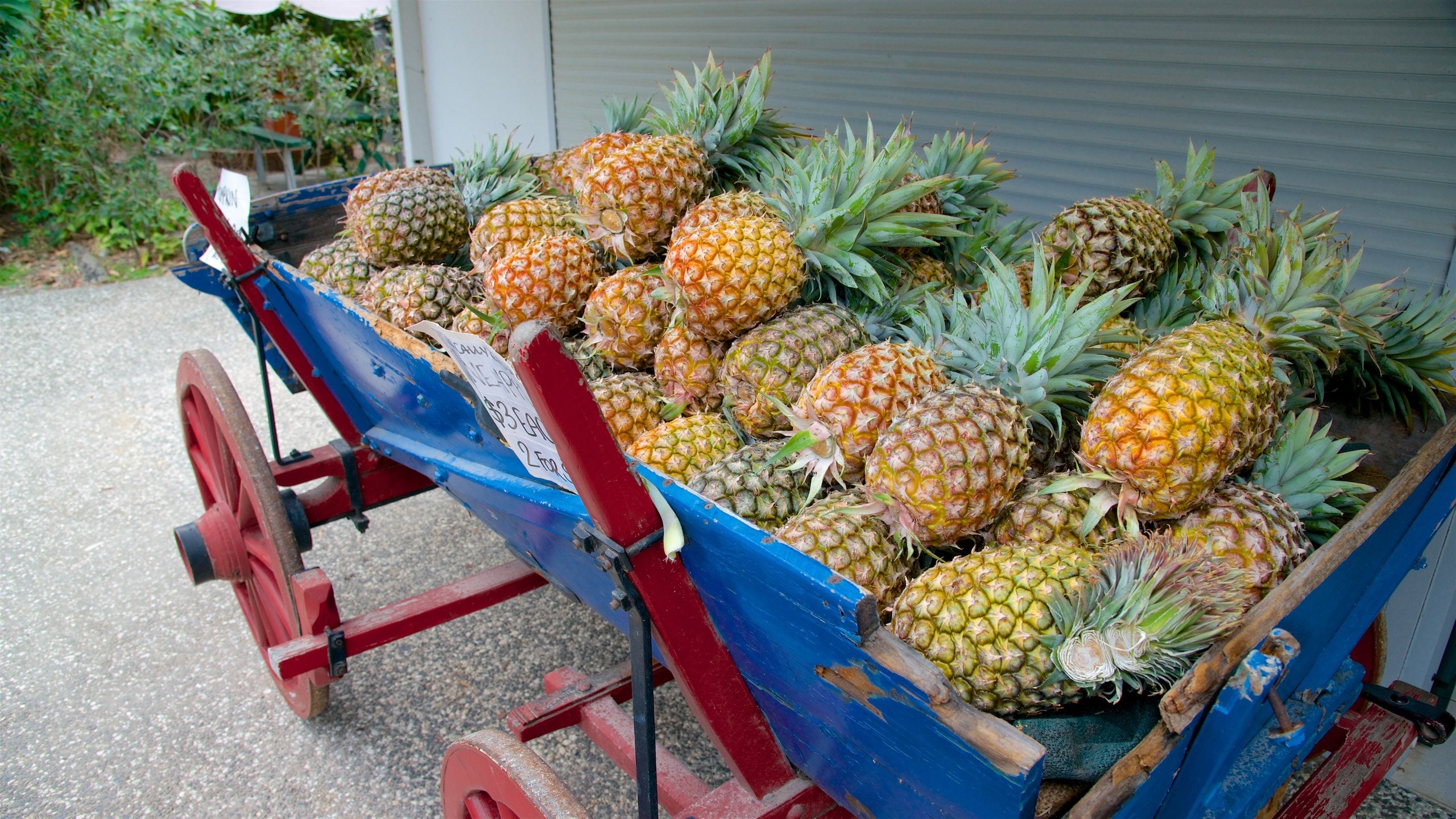 Beerwah featuring food