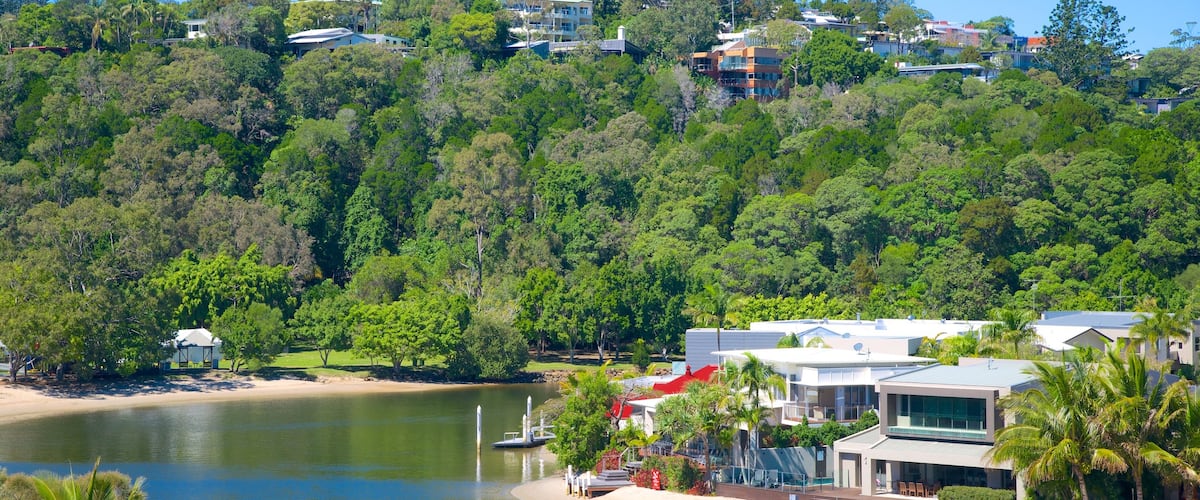 Noosaville which includes general coastal views and a coastal town