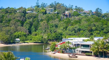 Noosaville che include vista della costa e località costiera