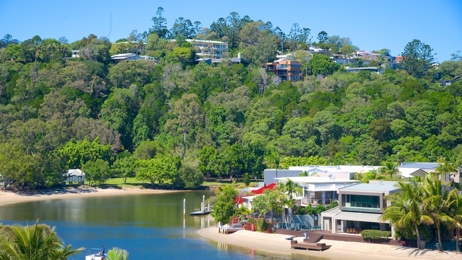 Noosaville which includes a coastal town and general coastal views