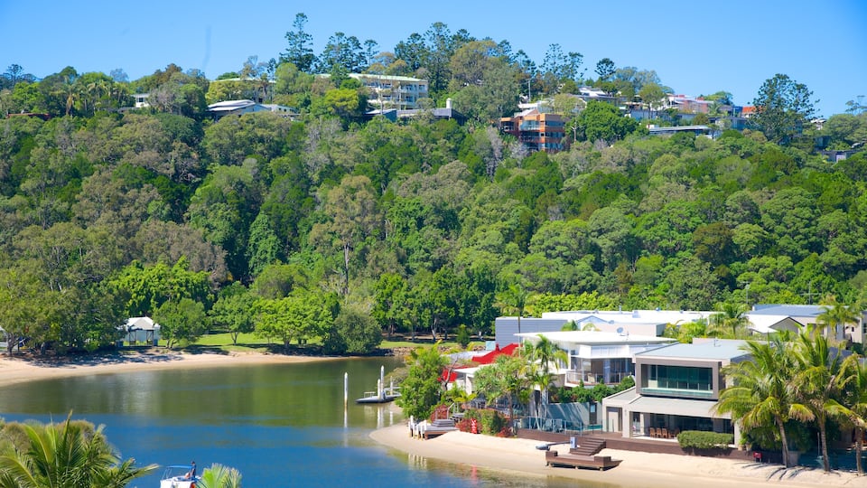 Noosaville which includes general coastal views and a coastal town