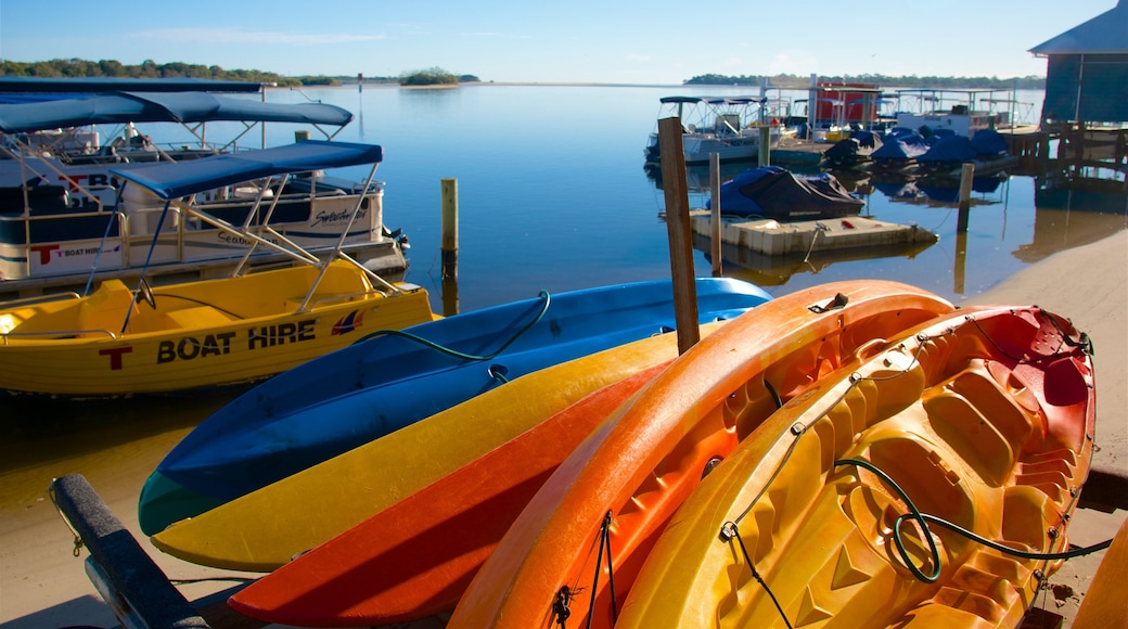 Noosa que incluye una bahía o un puerto, embarcaciones y piragüismo