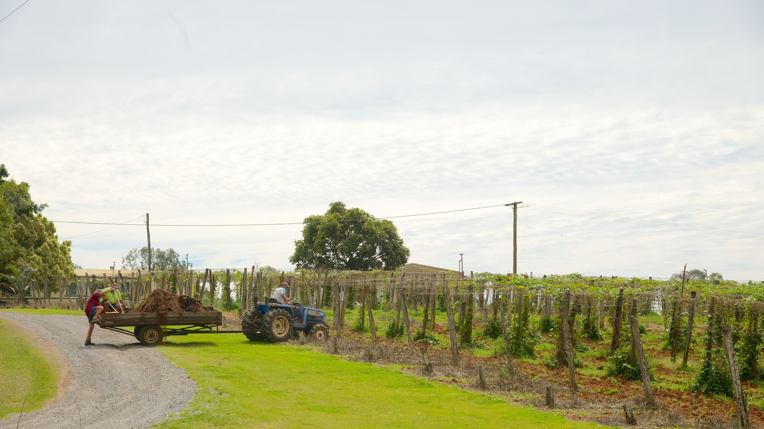 Beerwah, QLD, AU Vacation Rentals house rentals & more Vrbo