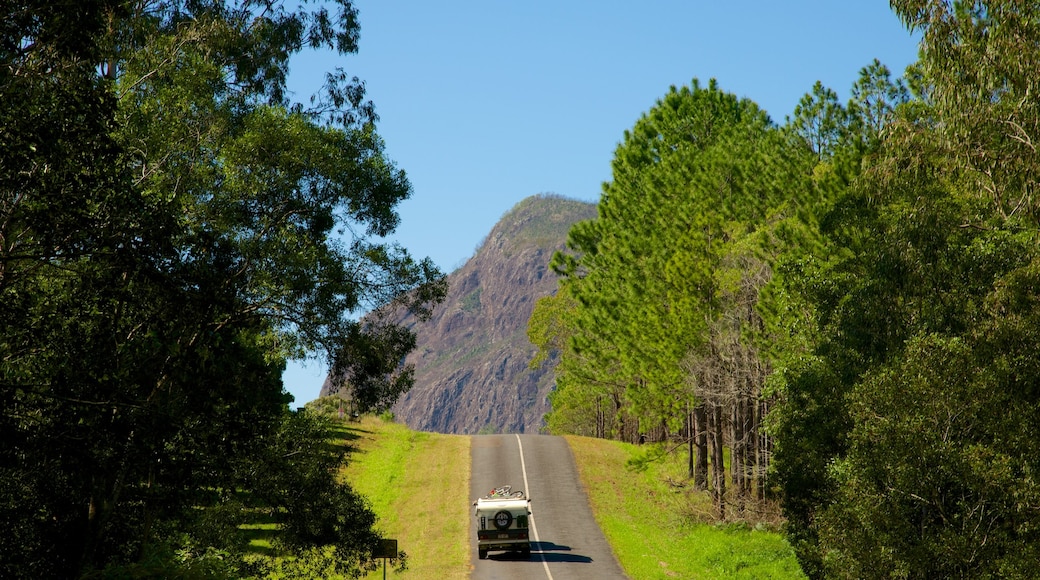Glasshouse Mountains National Park showing tranquil scenes and vehicle touring