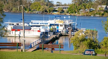 Tewantin das einen Bucht oder Hafen und allgemeine Küstenansicht