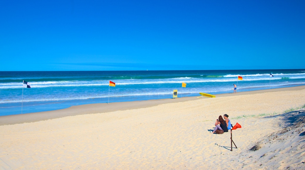 Peregian Beach showing a sandy beach