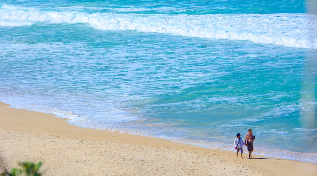 Sunshine Beach showing a beach as well as a couple