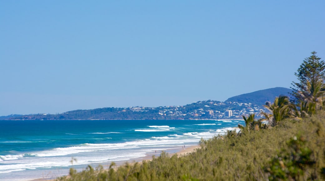 Sunshine Beach showing general coastal views