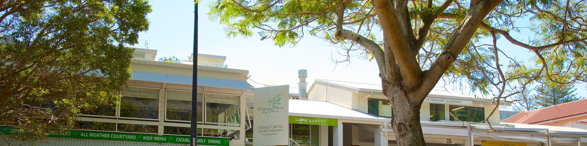 Sunshine Beach showing markets and street scenes as well as a large group of people