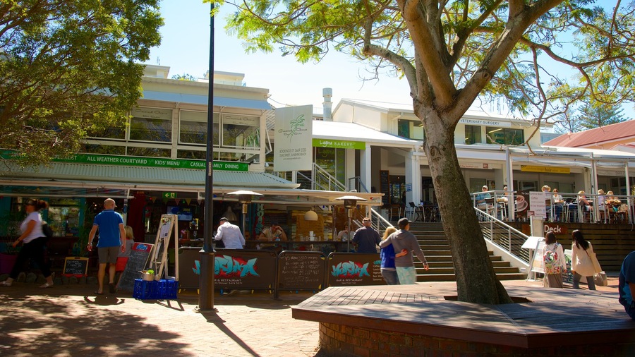 Sunshine Beach featuring markets and street scenes as well as a large group of people