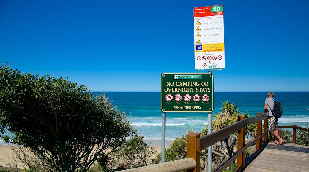 Sunshine Beach das einen allgemeine Küstenansicht sowie einzelner Mann