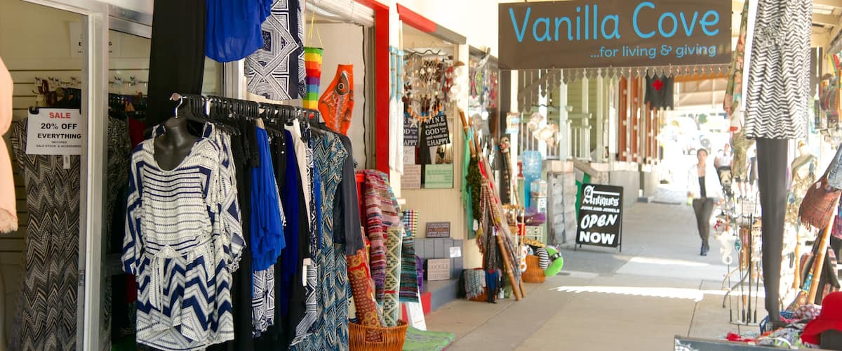 Eumundi showing street scenes, shopping and fashion