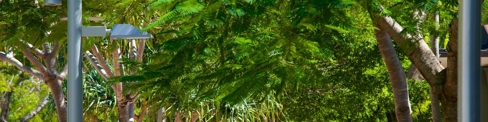 Hastings Street showing street scenes as well as a large group of people