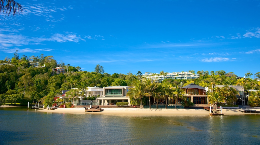 Noosa featuring tropical scenes, a coastal town and general coastal views