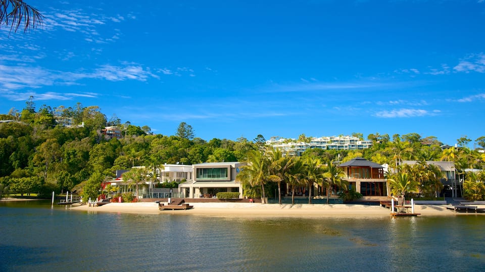 Noosa which includes a coastal town, general coastal views and tropical scenes