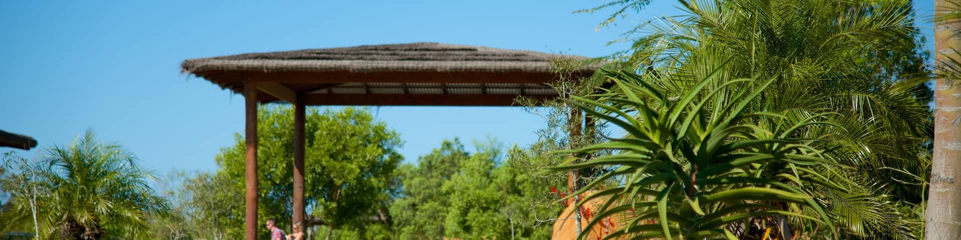 Australia Zoo welches beinhaltet Wandern oder Spazieren und Zootiere sowie Kinder