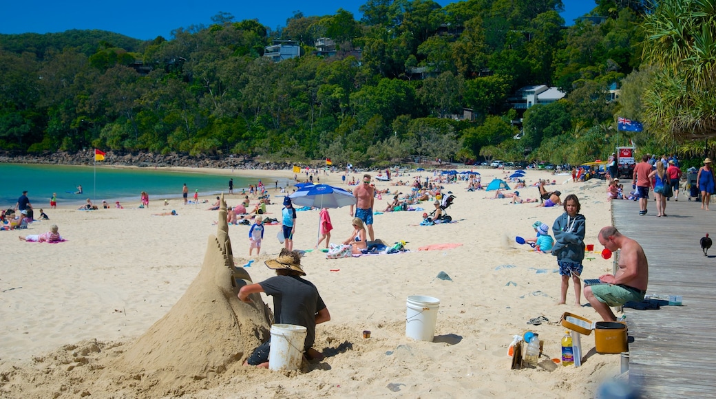 Noosa Beach which includes a sandy beach as well as a large group of people