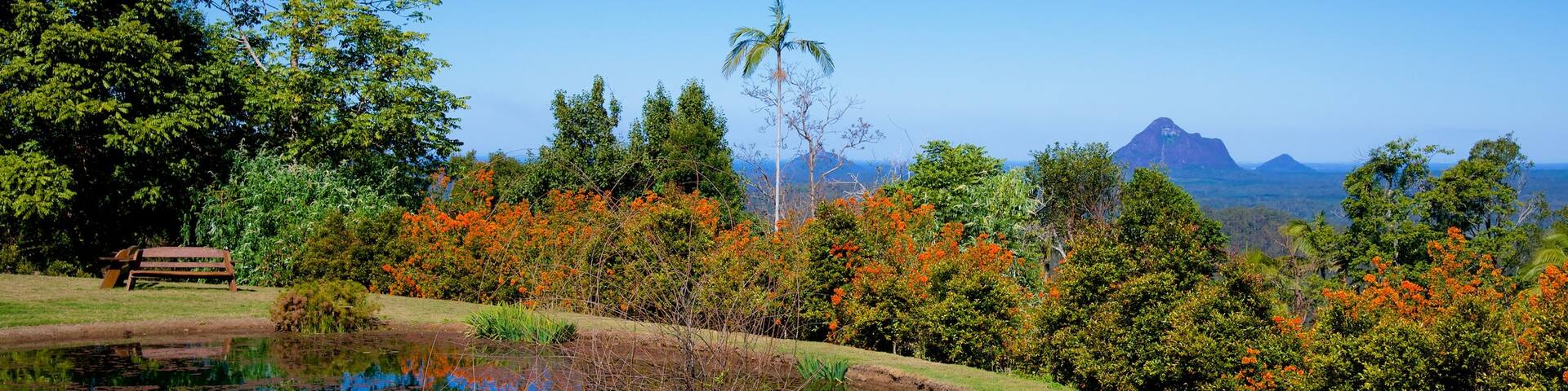 Maleny Botanic Gardens showing a park and a pond