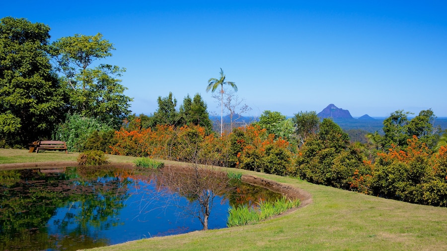 Maleny Botanic Gardens showing a garden and a pond