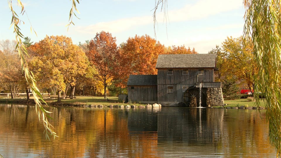 Rockford ofreciendo patrimonio de arquitectura, un lago o abrevadero y hojas de otoño