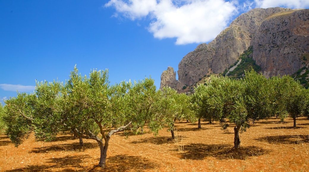 Trapani mostrando tierras de cultivo, montañas y escenas tranquilas