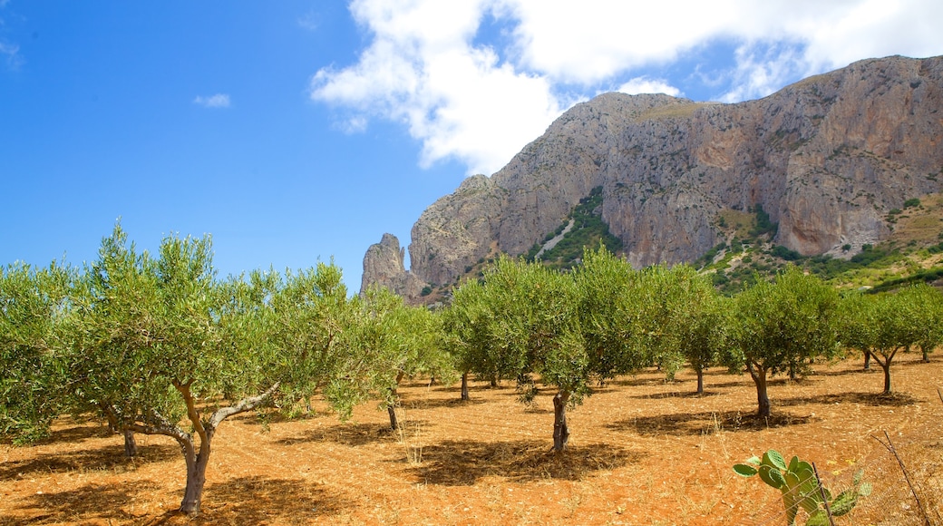 Provinz Trapani das einen ruhige Szenerie, Farmland und Berge