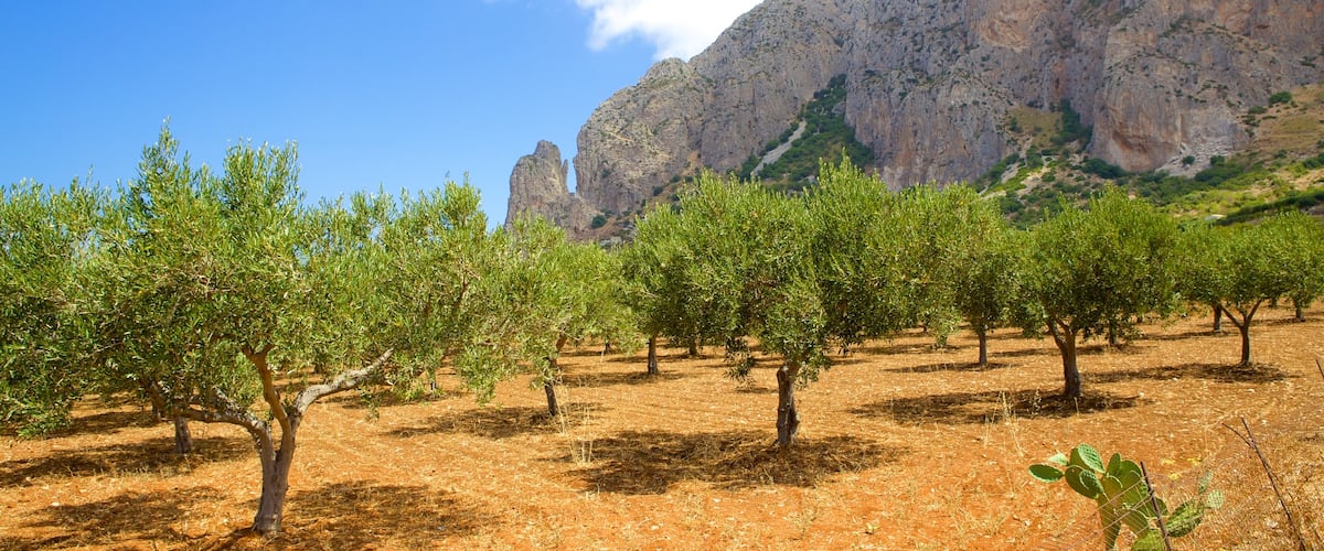Trapani ofreciendo situaciones tranquilas, montañas y tierra de cultivo