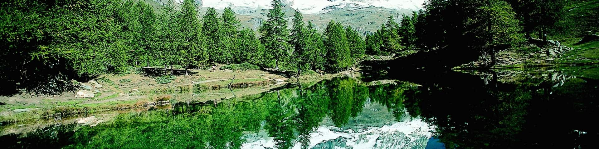 Valtournenche which includes forests, mountains and snow