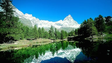 Valtournenche which includes forests, a lake or waterhole and snow