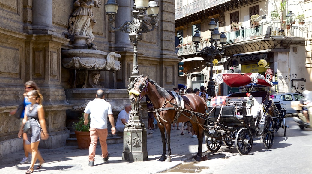 Via Maqueda mettant en vedette animaux terrestres, scènes de rue et patrimoine historique