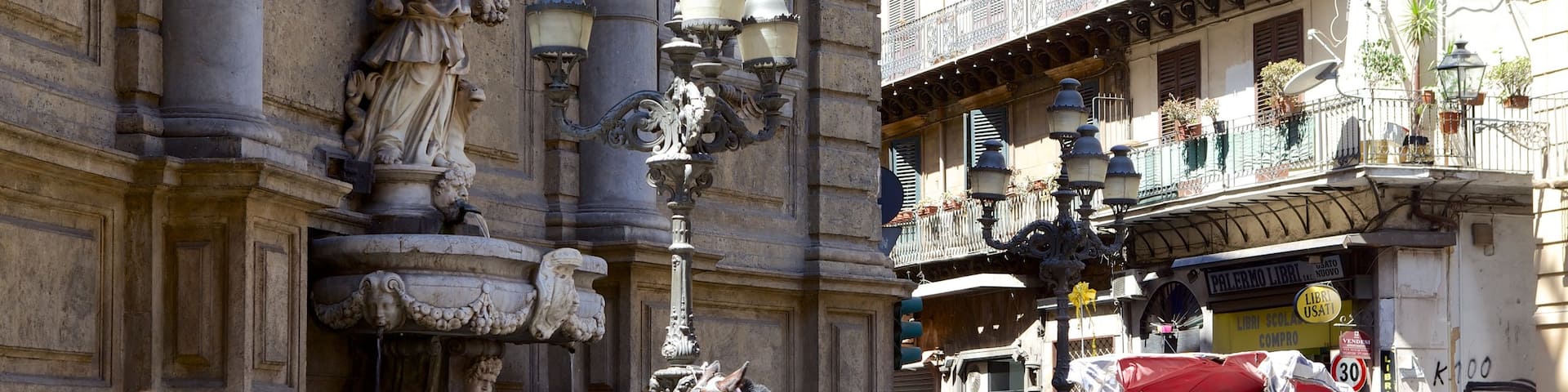 Via Maqueda showing heritage elements, street scenes and land animals