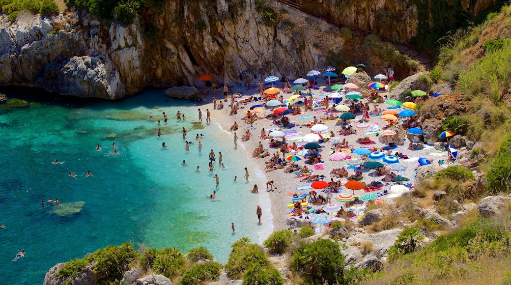 Zingaro Beach which includes a bay or harbour, swimming and a beach