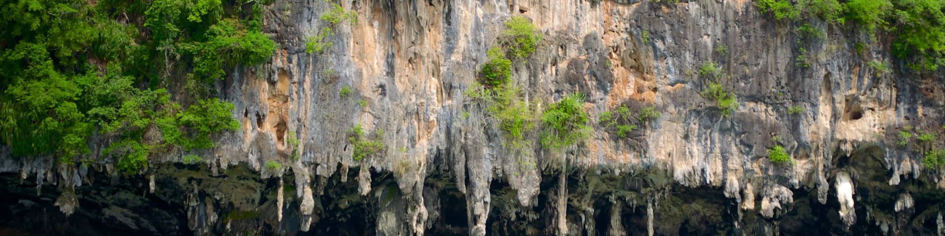 Phang Nga showing rocky coastline and general coastal views