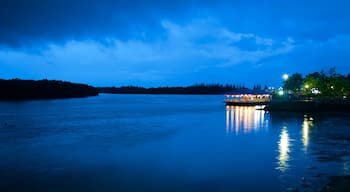 Krabi Town featuring night scenes and a river or creek