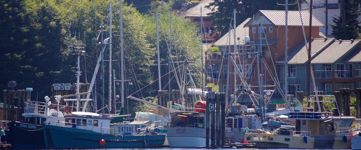 Tofino mostrando paseos en lancha, una ciudad costera y una bahía o puerto