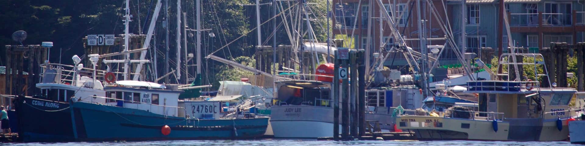 Tofino showing boating, a coastal town and a bay or harbour