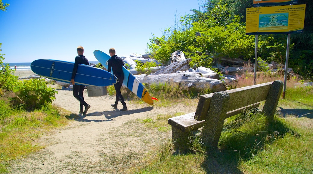 Long Beach showing a sandy beach and surfing as well as a small group of people