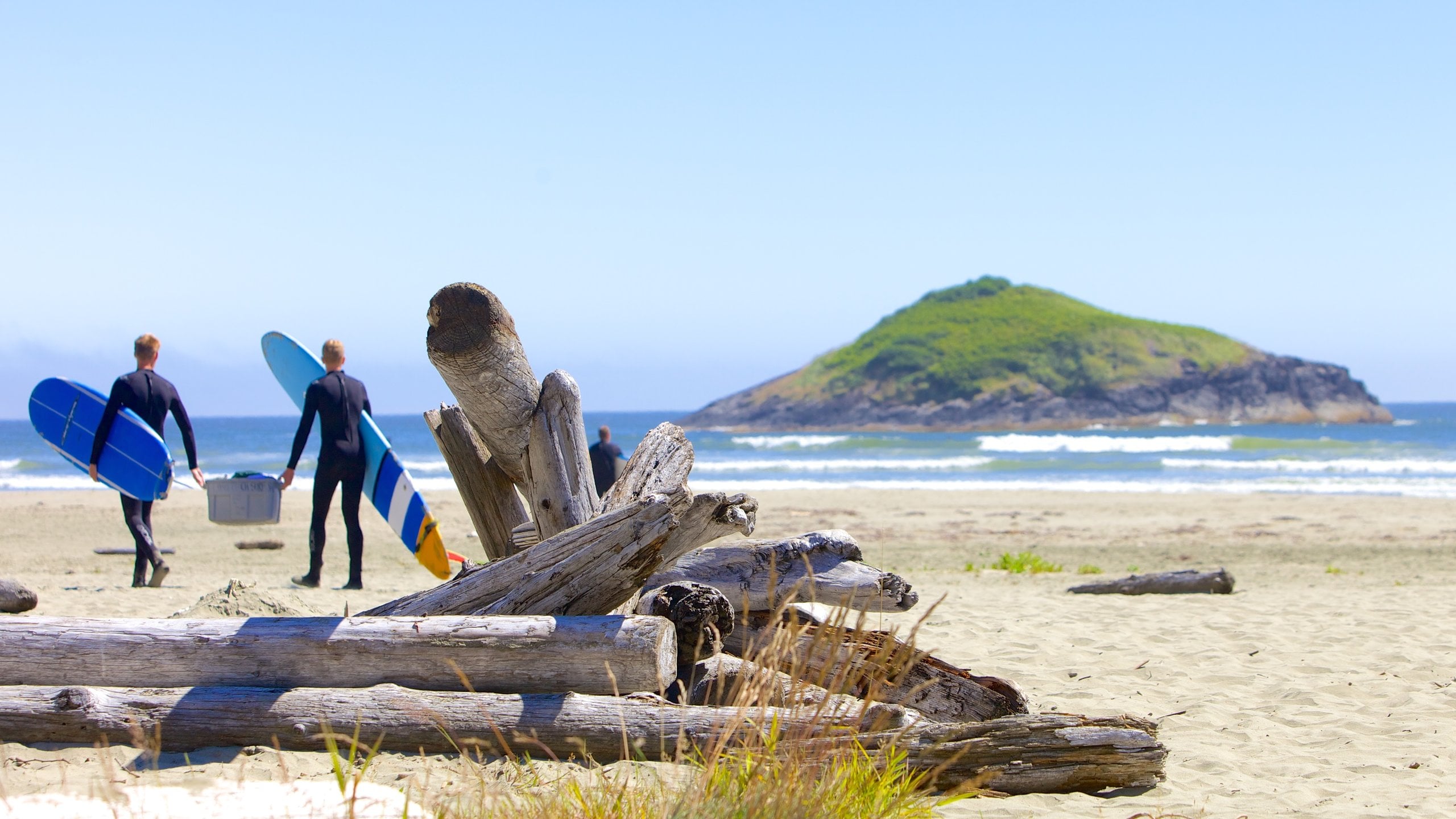 Reiseführer Long Beach 2024 das Beste in Long Beach entdecken Expedia.at