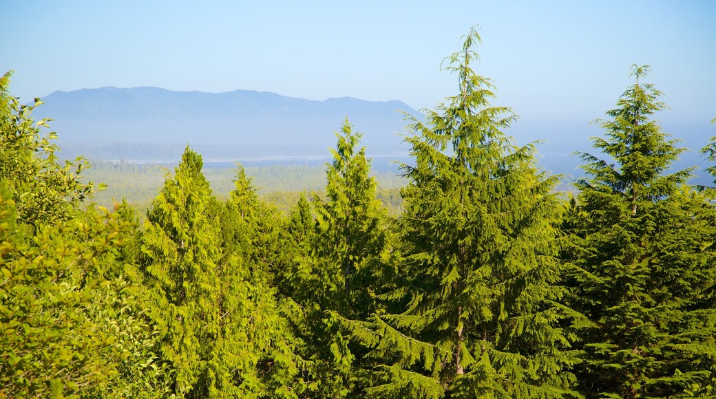 Radar Hill showing landscape views and forest scenes