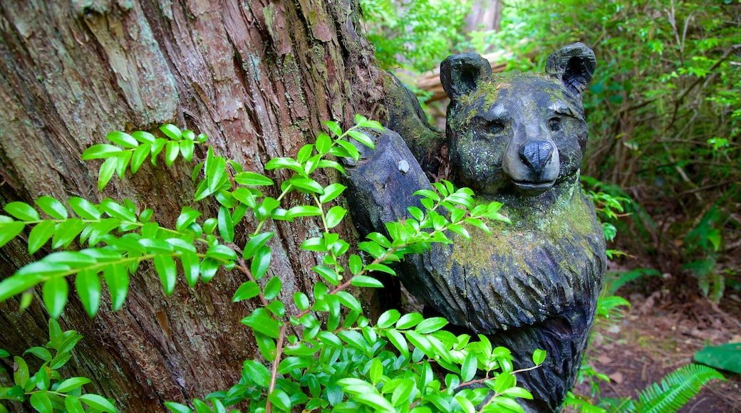 Tofino botanische tuinen toont een park, bos en kunst in de open lucht