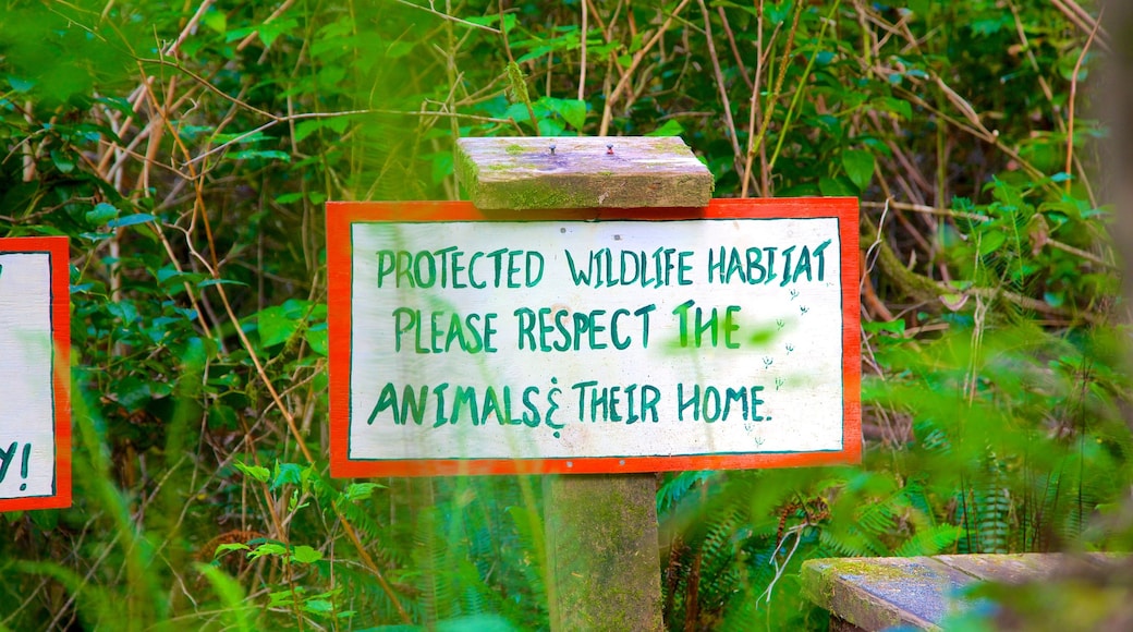 Tofino Botanical Gardens showing signage and a garden