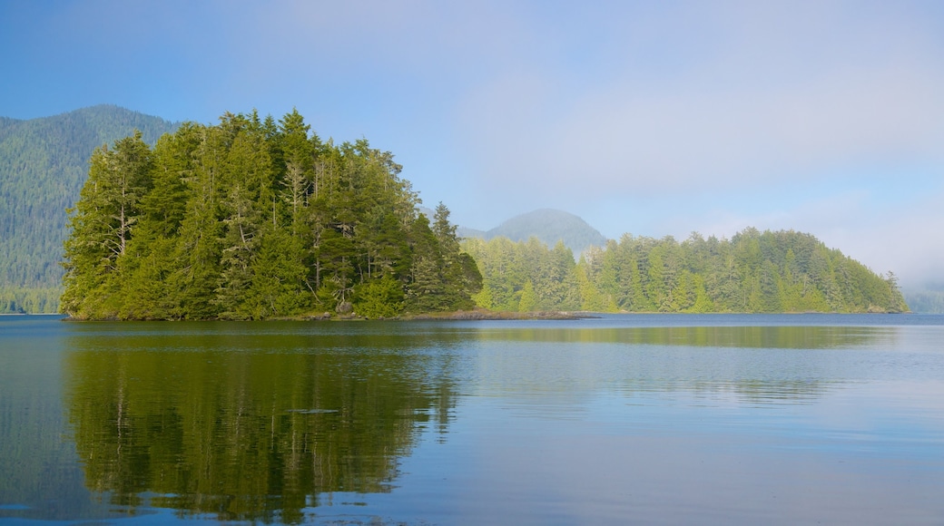 Tofino Botanical Gardens which includes forest scenes and a lake or waterhole