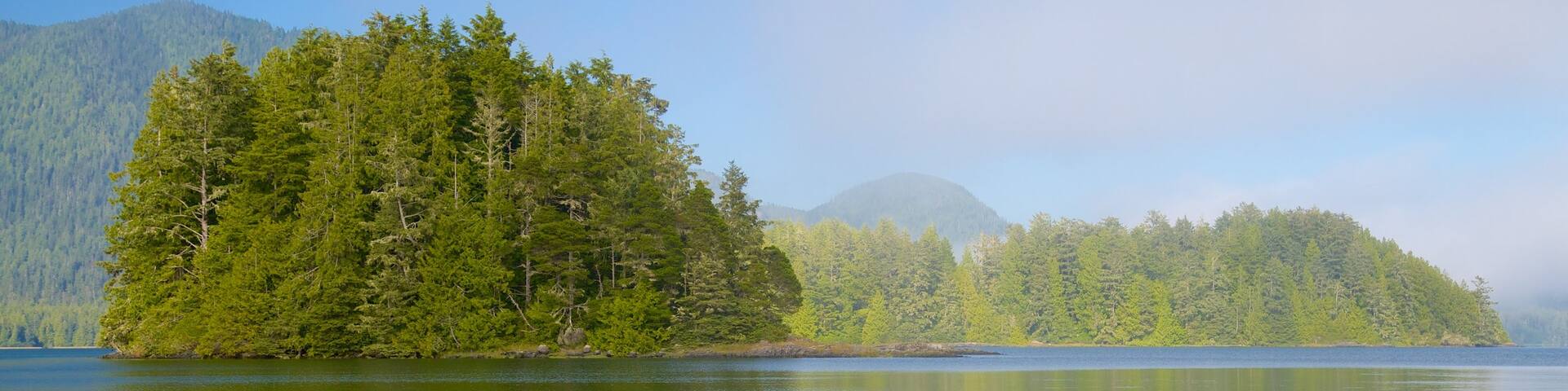 Tofino Botanical Gardens featuring forests and a lake or waterhole